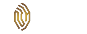 neuro holdings